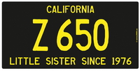 Z900us US License Plate Z 650